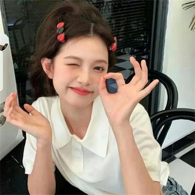 嫌我胖要退婚我捡个王爷当整婿